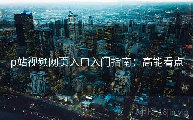 p站视频网页入口入门指南：高能看点