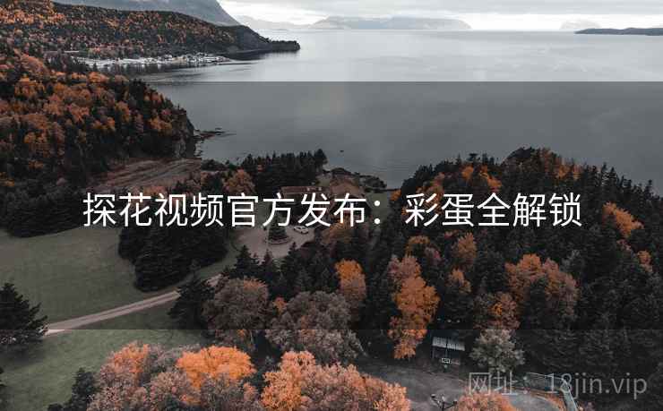 探花视频官方发布：彩蛋全解锁