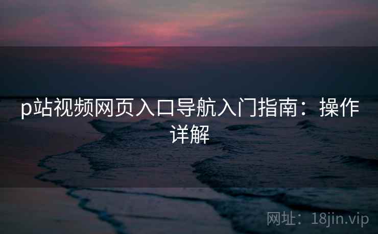p站视频网页入口导航入门指南：操作详解