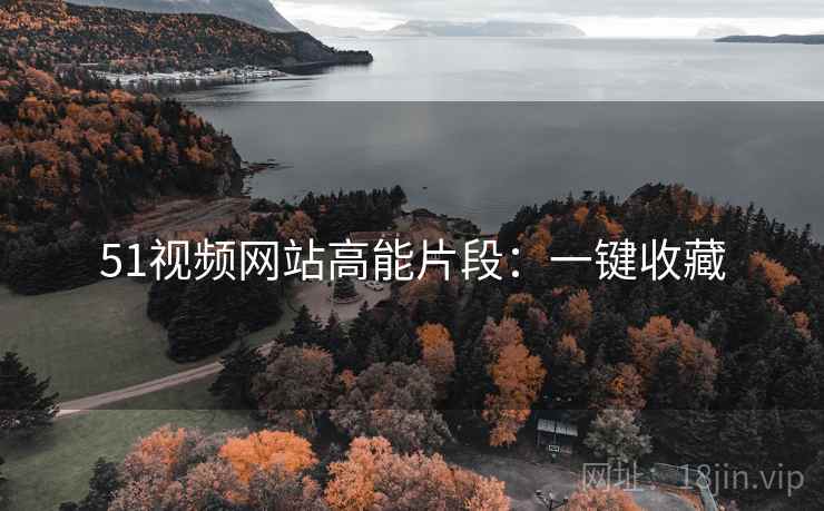 51视频网站高能片段：一键收藏